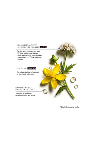 Gummies sommeil prolongé - Mûre & myrtille - Sans sucres - 21 jours