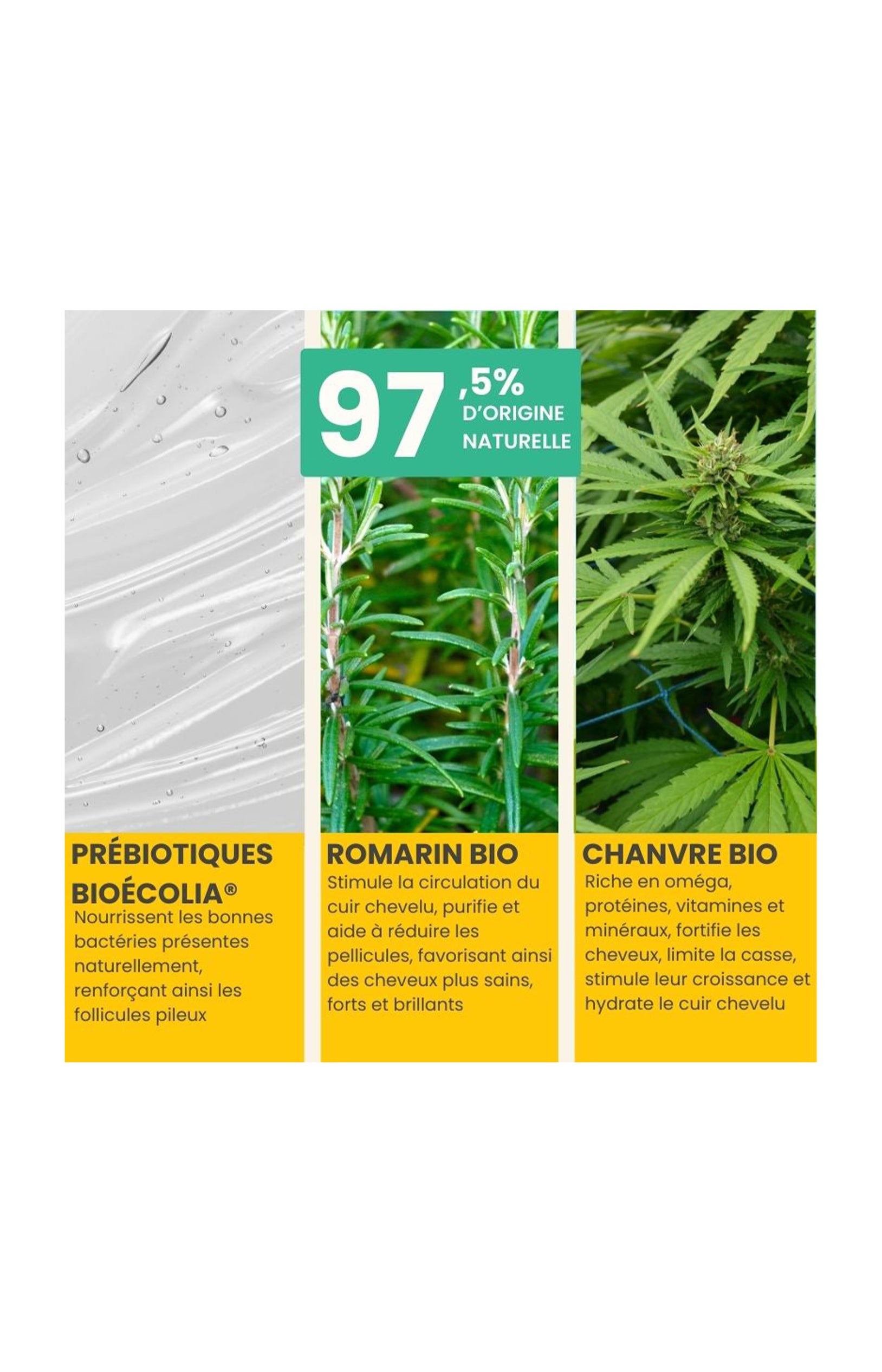 Shampoing bio - Volume & pousse - 400 ml