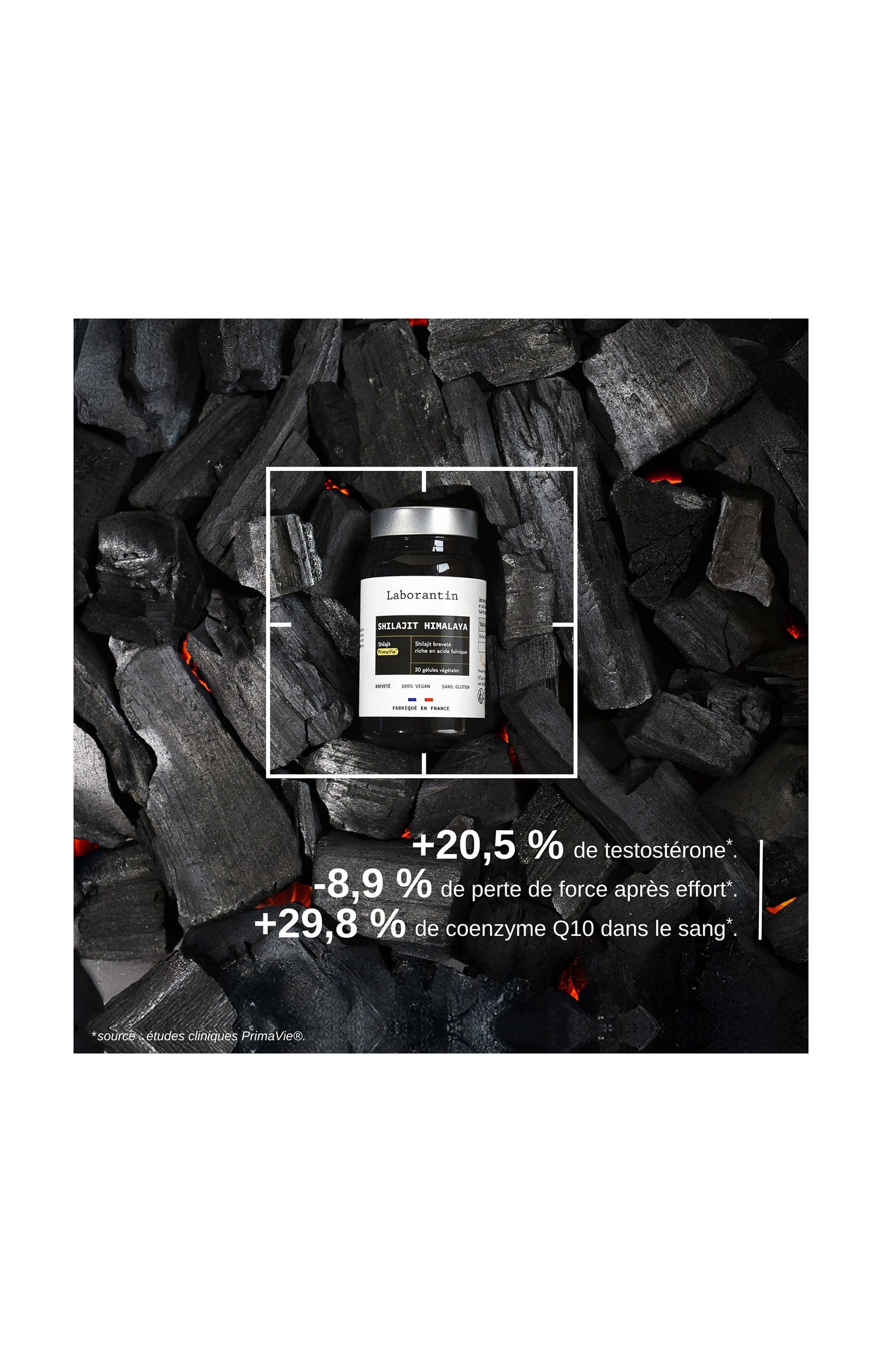 Compléments alimentaires - Shilajit Himalaya - Energie - 1 mois