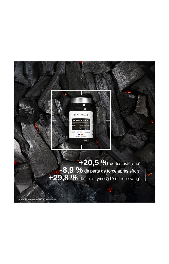 Compléments alimentaires - Shilajit Himalaya - Energie - 1 mois