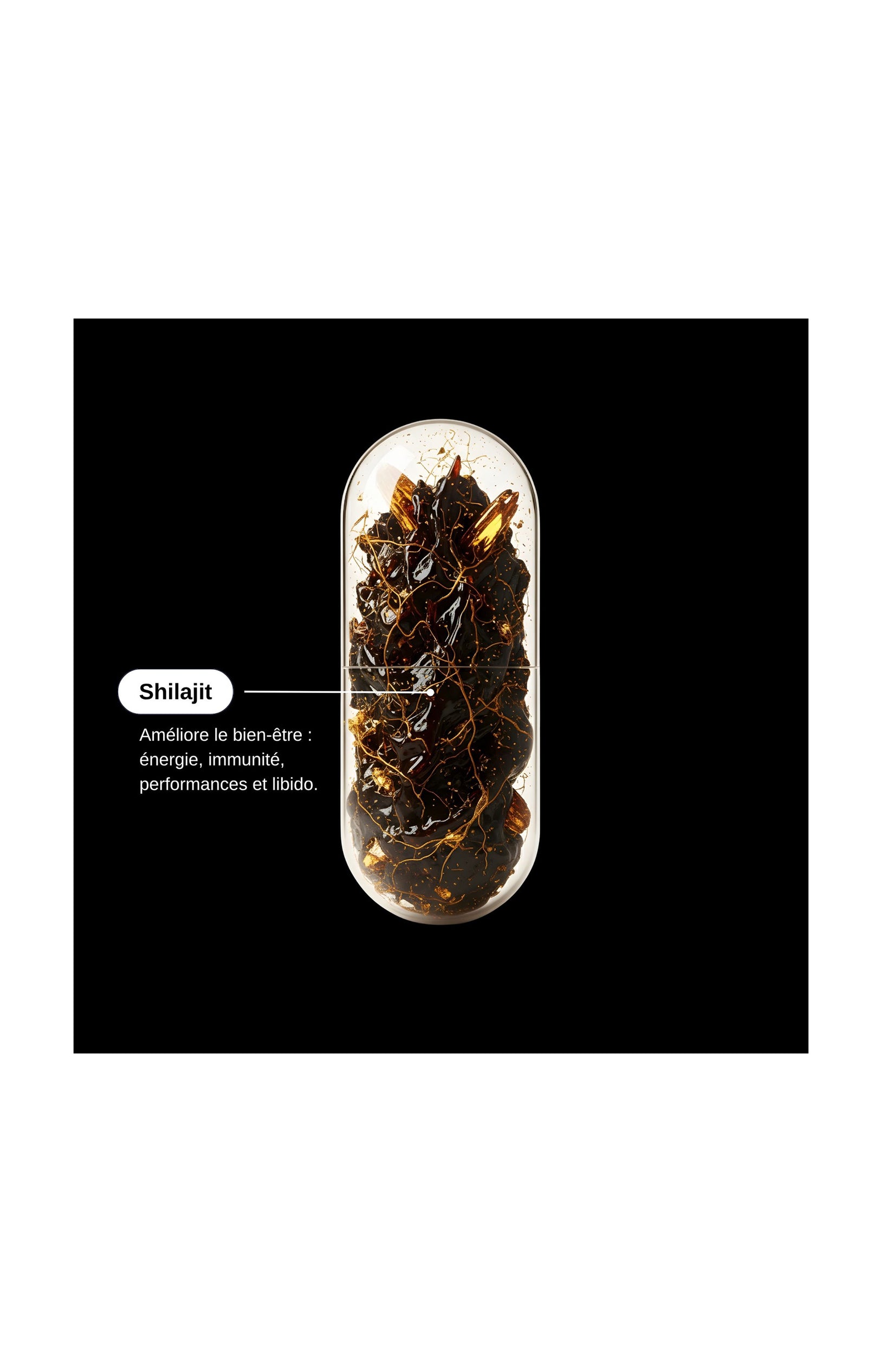 Compléments alimentaires - Shilajit Himalaya - Energie - 1 mois
