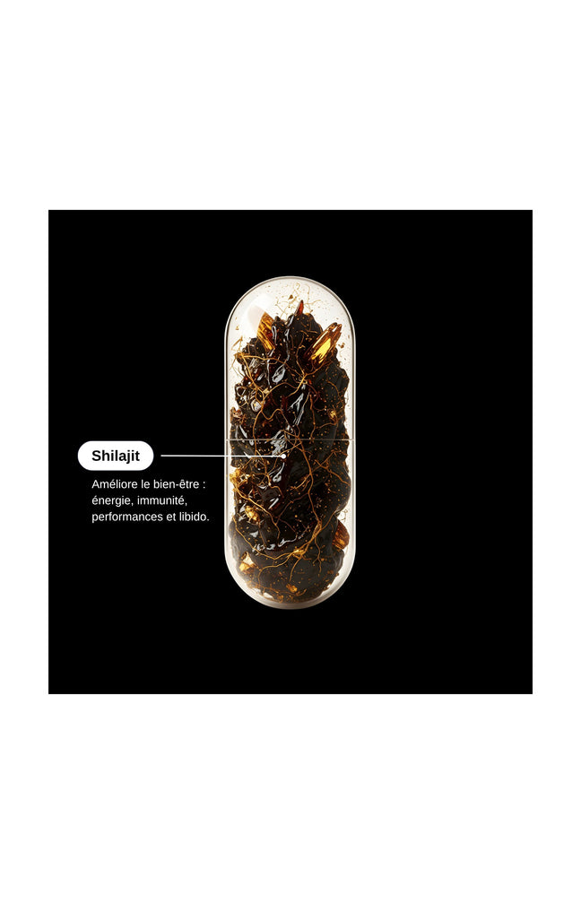 Compléments alimentaires - Shilajit Himalaya - Energie - 1 mois