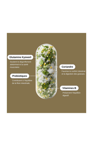 Cure digestion - Probio Glutamine - 1 mois