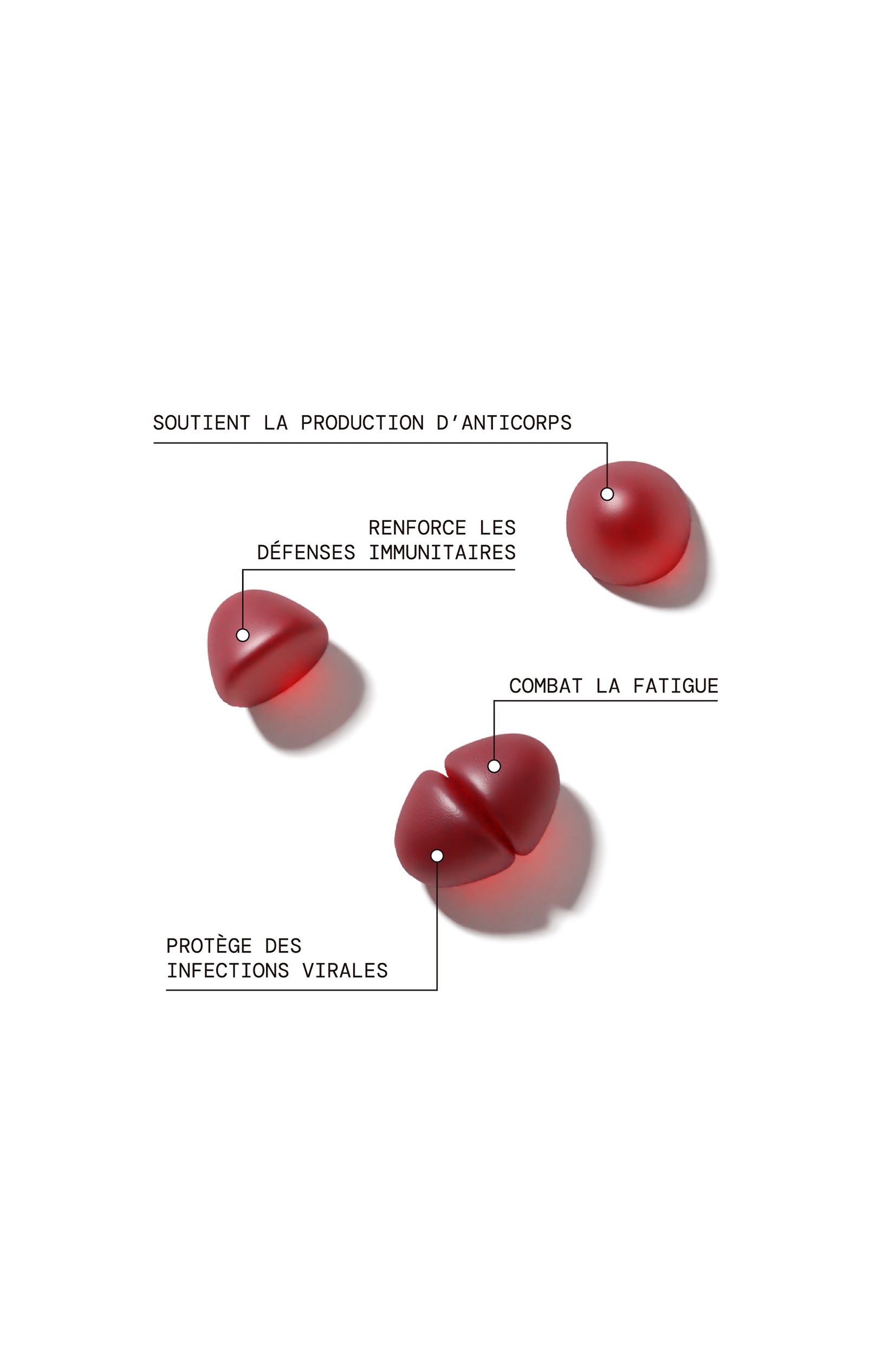 Cure gummies immunité - Cerise - Sans sucres - 2 mois