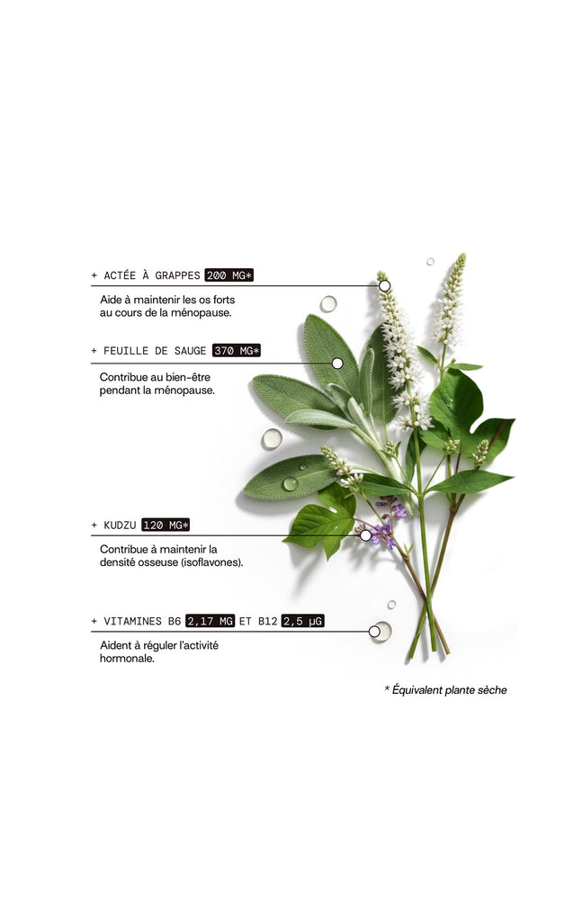 Cure sachets de gummies ménopause - Pomme & cassis - Sans sucres - 2 mois