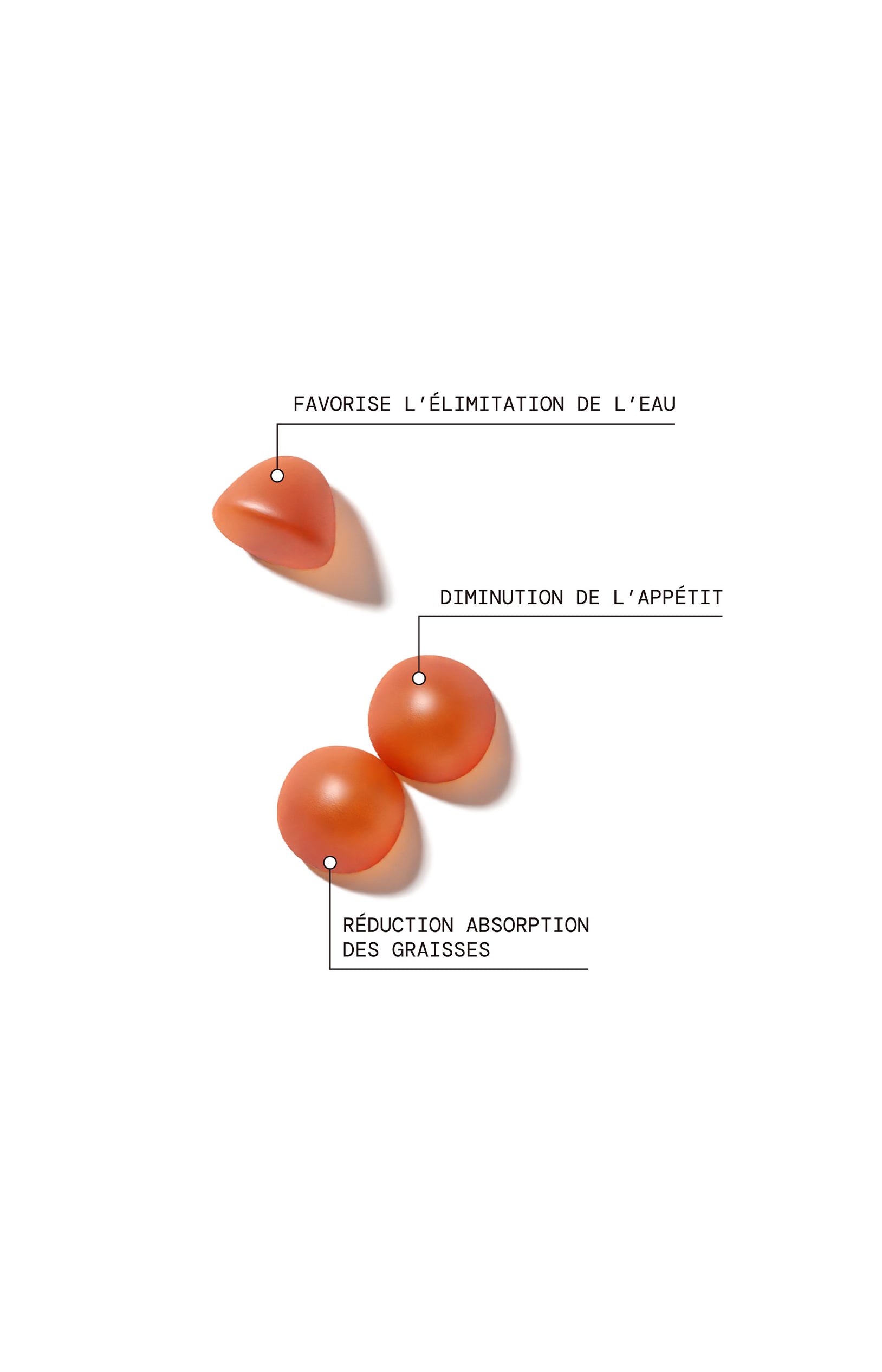 Cures gummies minceur - Pomme & vanille - Sans sucres - 3 mois