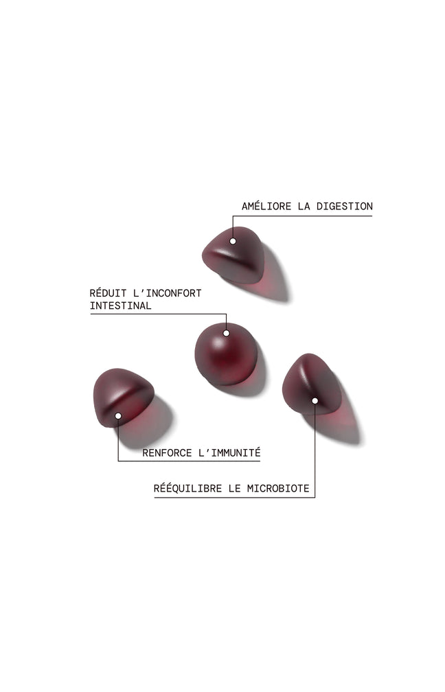 Cure gummies inconforts digestifs - Probiotiques - Sans sucres - Mûre - 2 mois