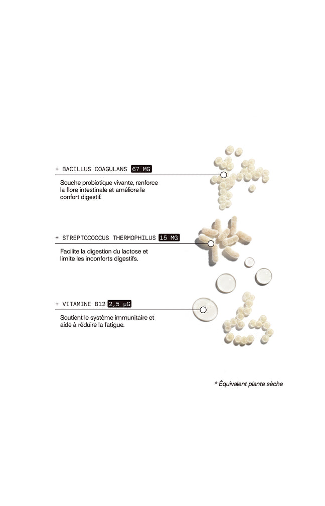 Cure gummies inconforts digestifs - Probiotiques - Sans sucres - Mûre - 2 mois
