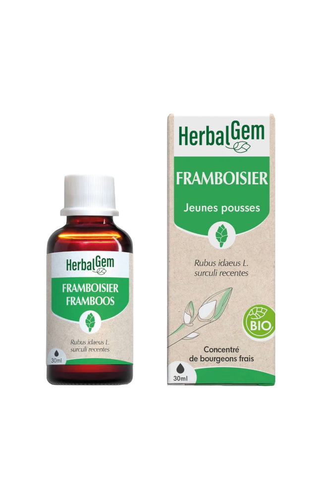 Bourgeon de framboisier bio - Régulateur cycle féminin - 30 ml