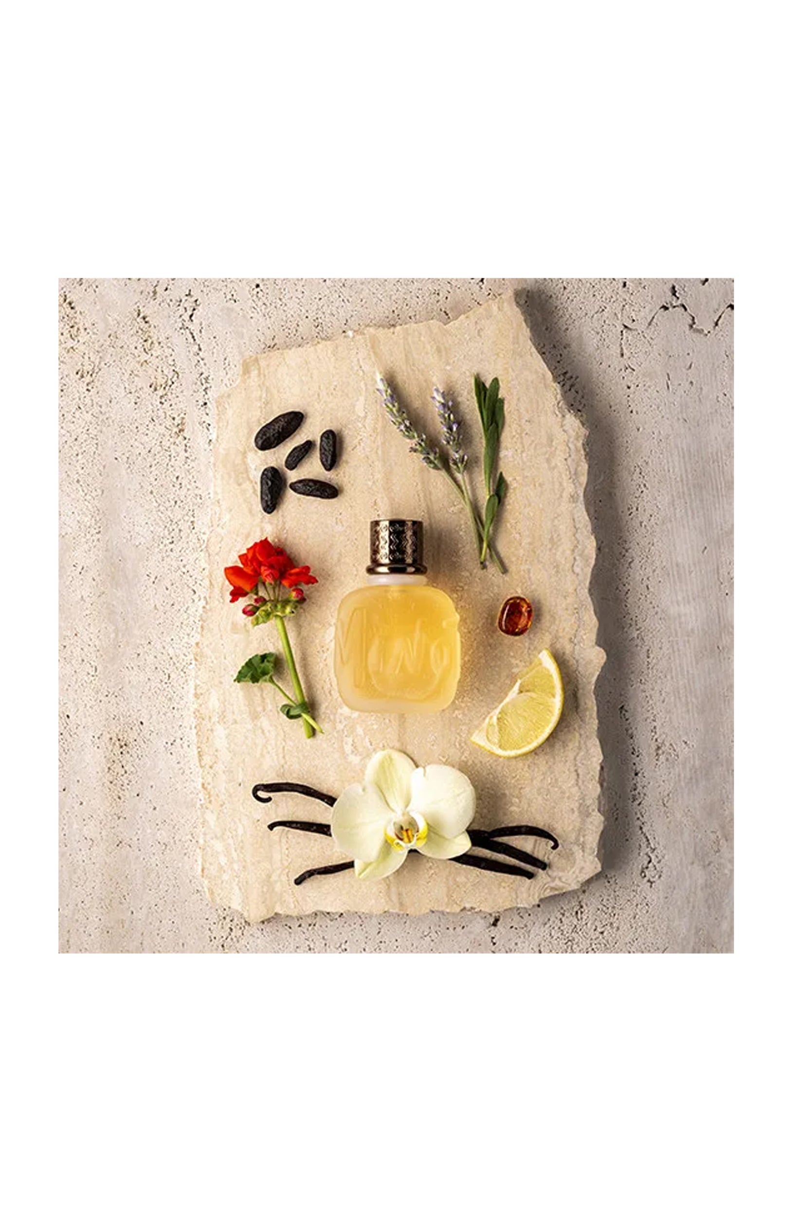 Minotaure Eau de toilette - Oriental boisé - 75 ml