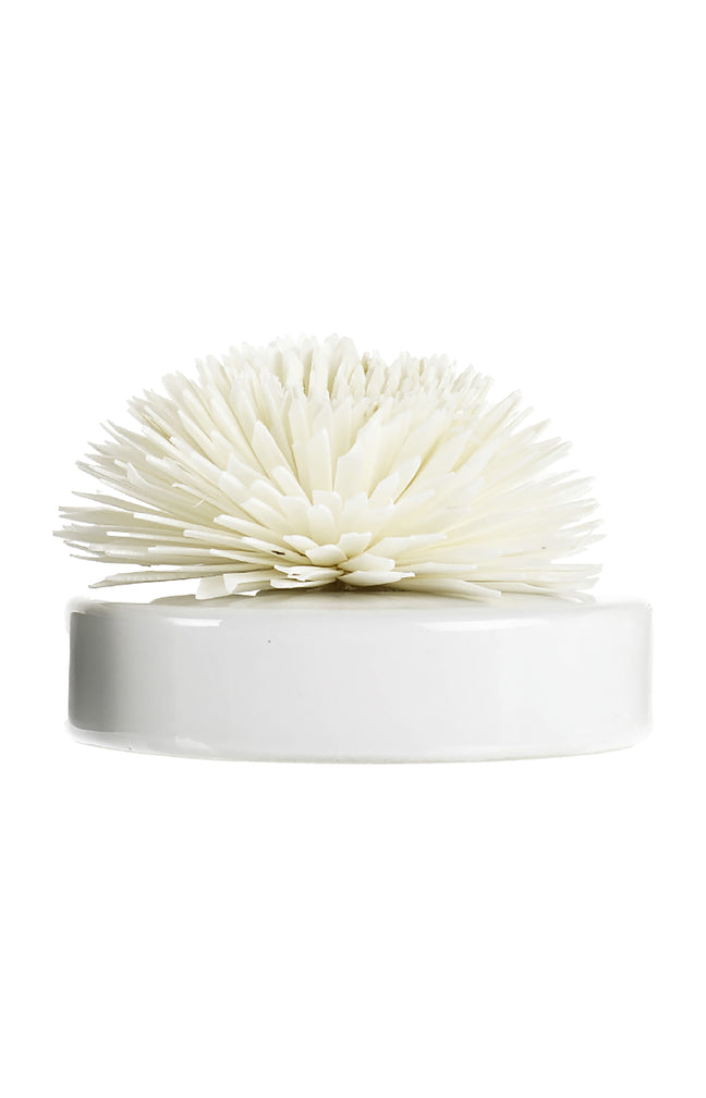 Fleur de Goatier - Blanc