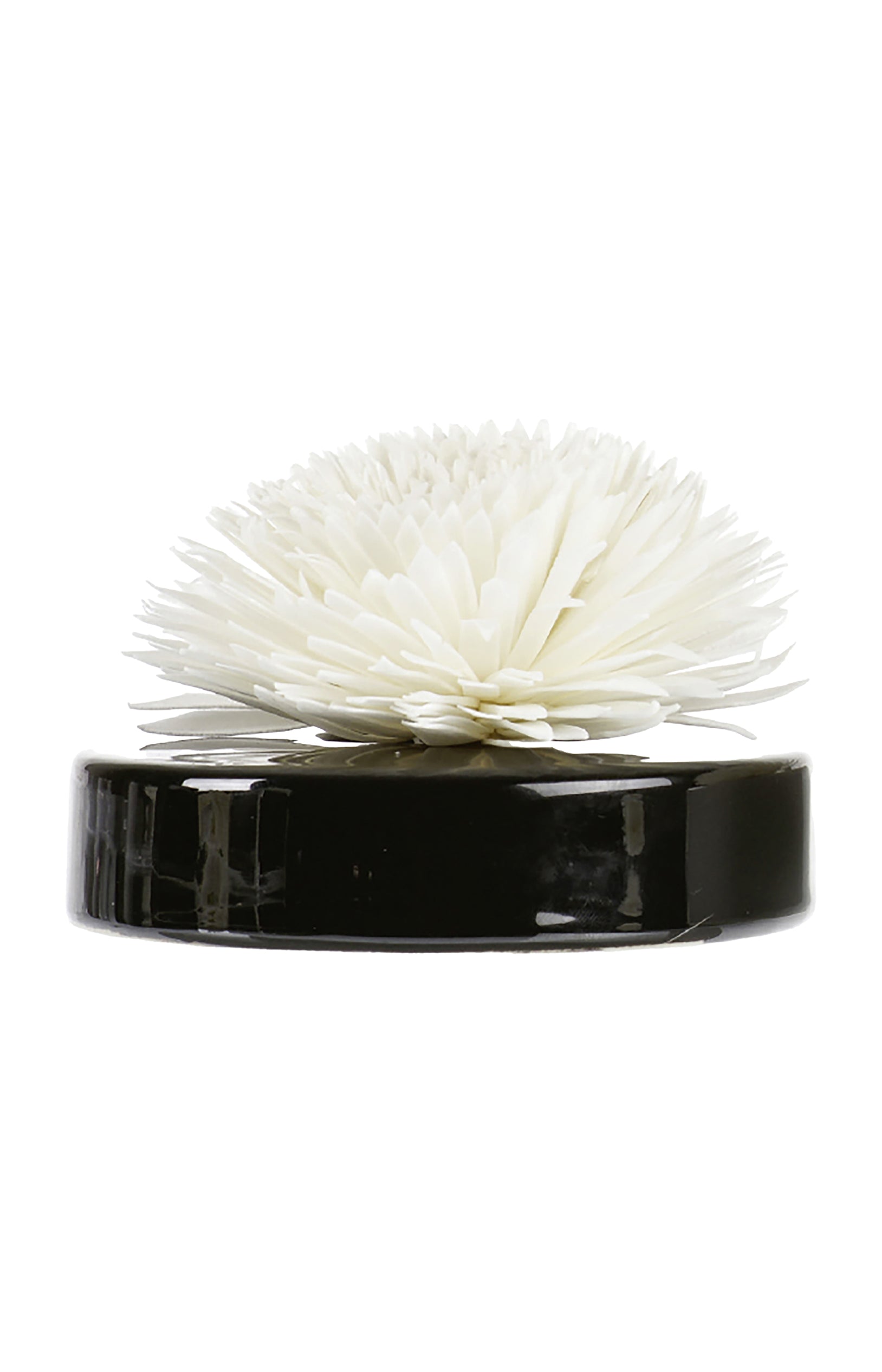 Fleur de Goatier - Noir