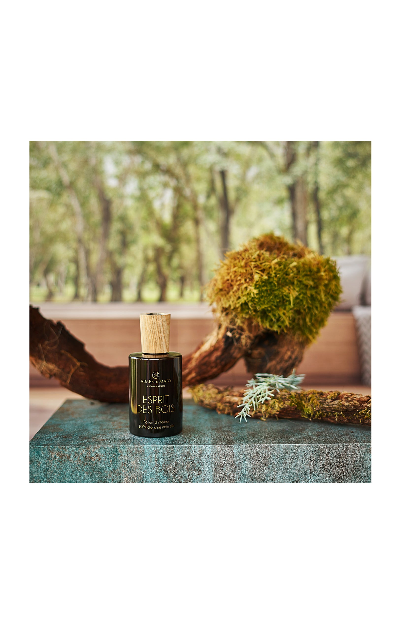 Parfum d’intérieur en spray - Esprit des Bois - 100 ml