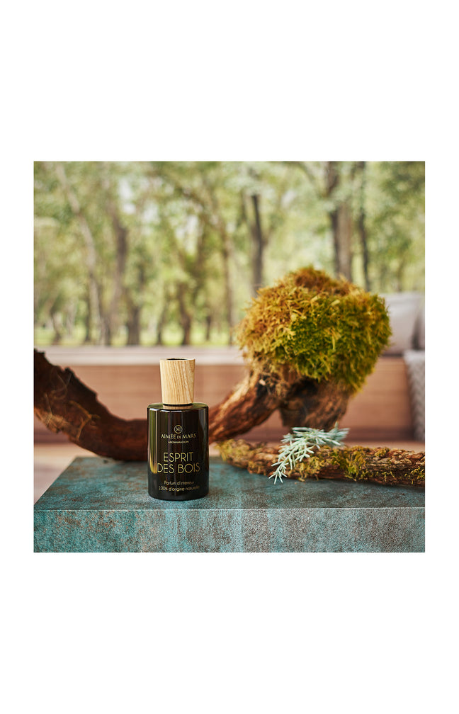 Parfum d’intérieur en spray - Esprit des Bois - 100 ml