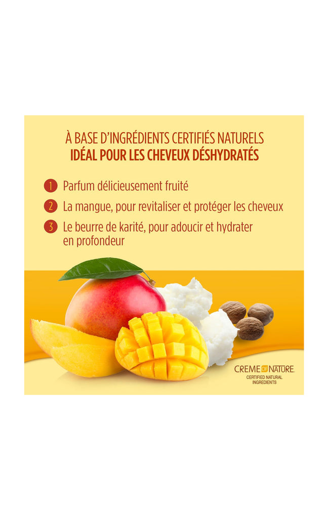 Shampoing ultra nourrissant - Mangue & karité - Cheveux déshydratés - 350 ml
