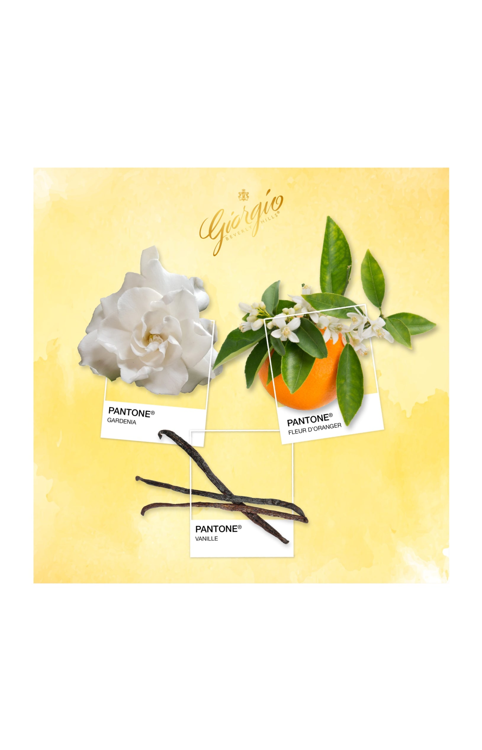 Giorgio Beverly Hills Eau de toilette - Floral tubéreuse oranger