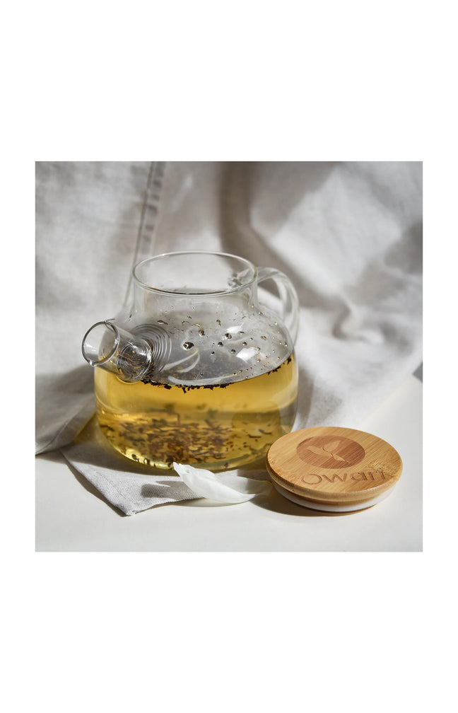 Théière japonaise en verre avec filtre