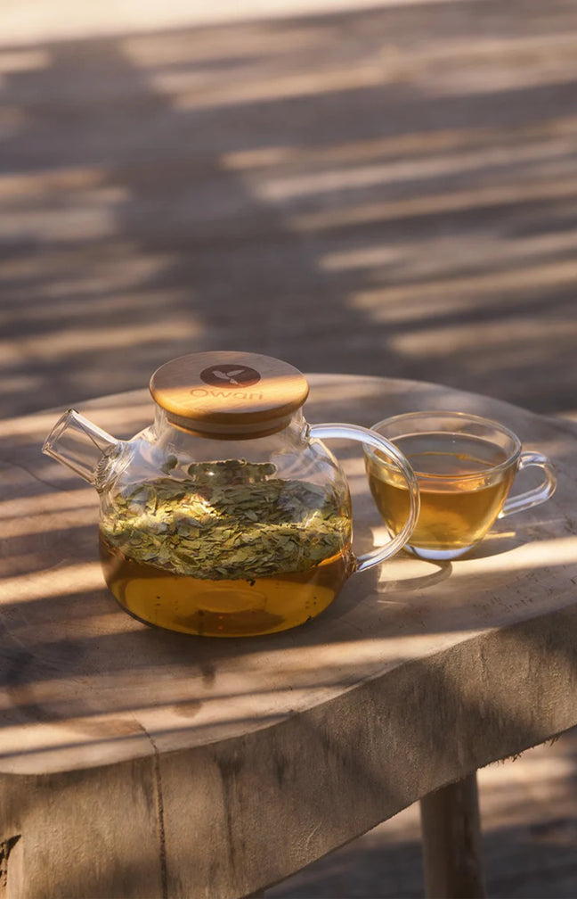 Théière japonaise en verre avec filtre