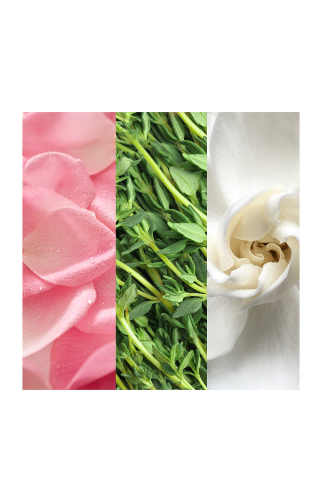 Brume tonifiante hydratation & éclat - Aloe vera & eau de rose - 236 ml