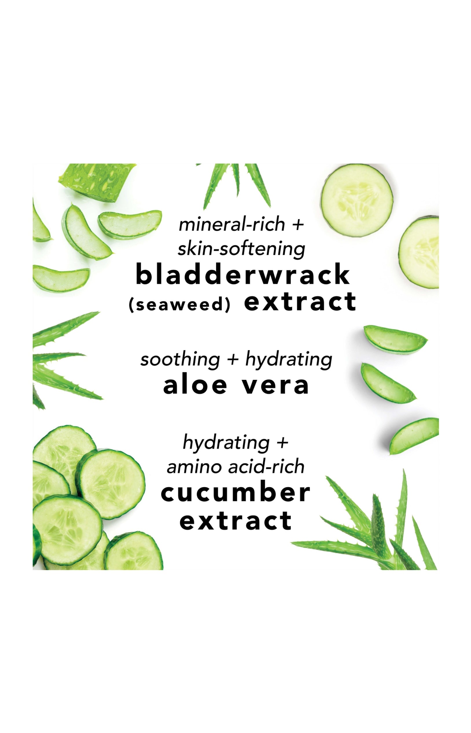 Brume hydratante & revitalisante - Aloe vera & concombre - 236 ml