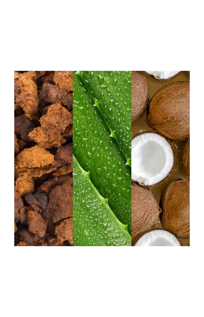 Brume rafraîchissante - Aloe vera & eau de coco - 236 ml