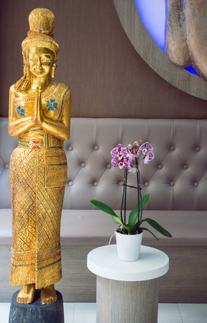 Hammam & massage aux huiles chaudes