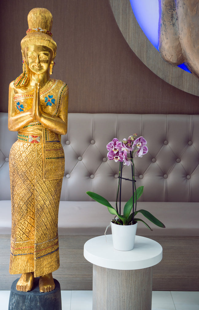 Hammam & massage aux huiles chaudes