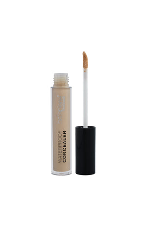 Concealer waterproof