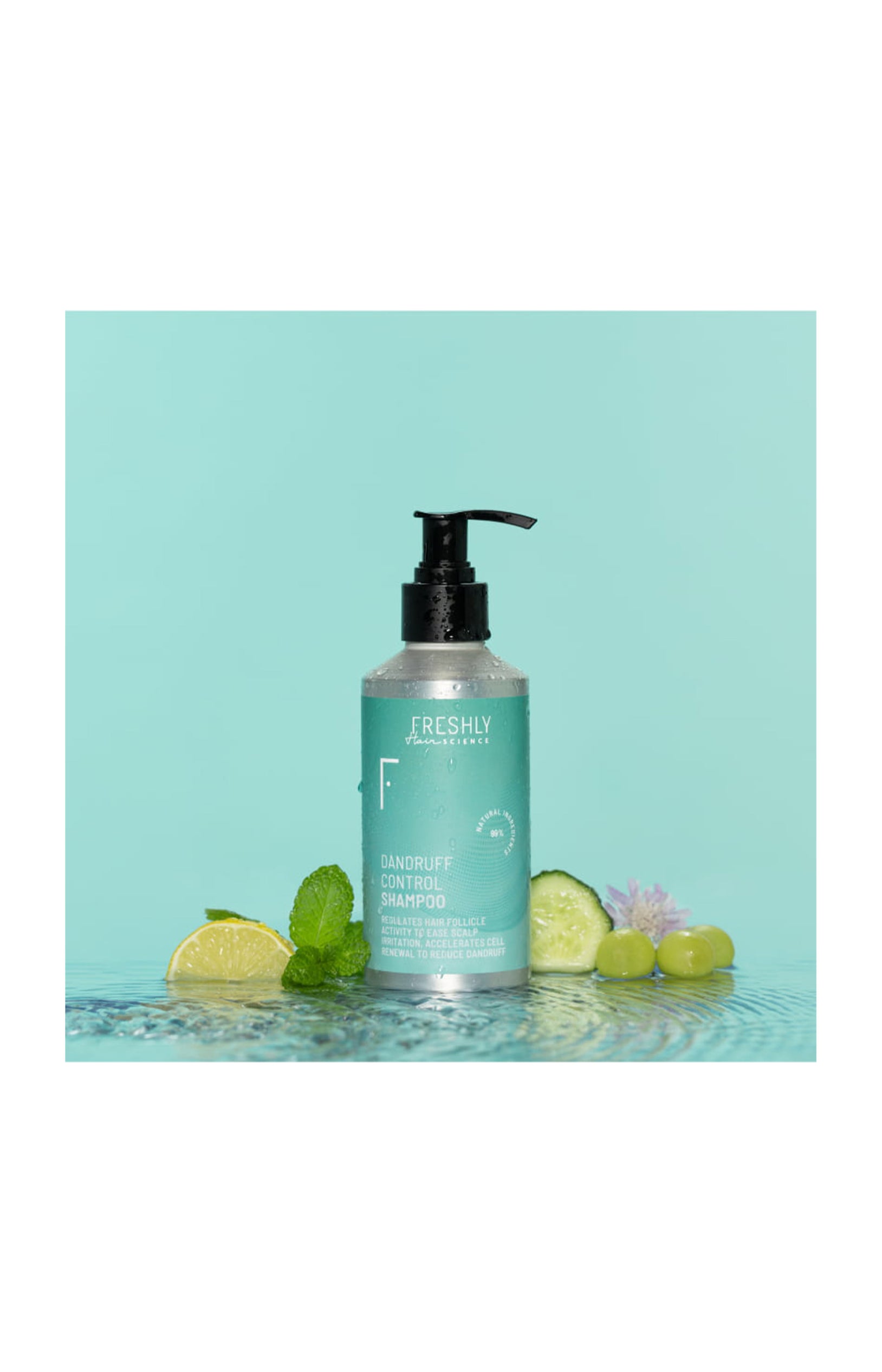 Shampooing antipelliculaire - Menthe - 250 ml