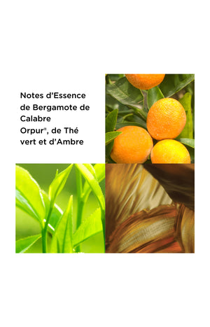 Coffret parfumée - Green Tea - 2 produits
