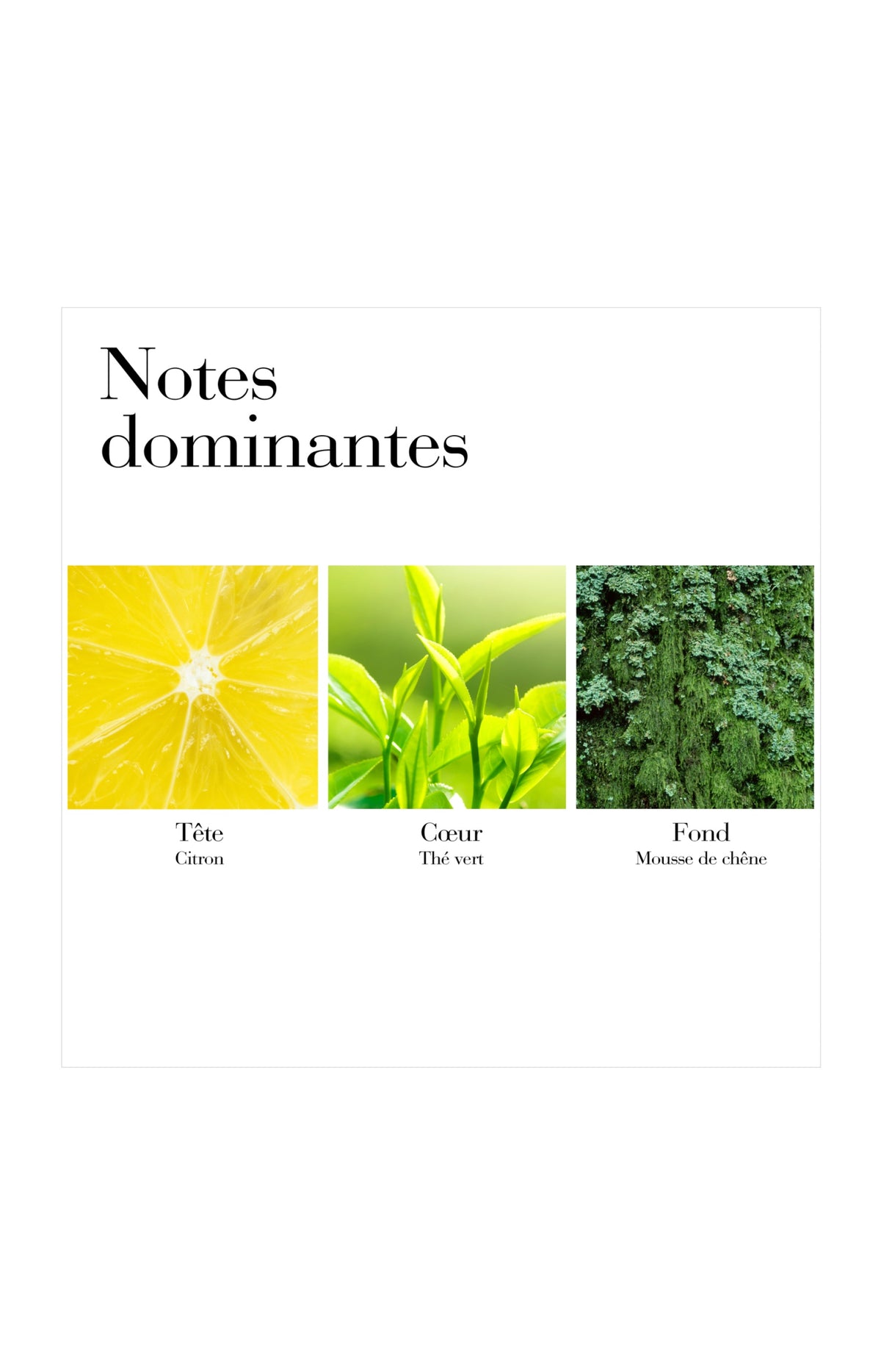 Green Tea Eau de toilette - Frais