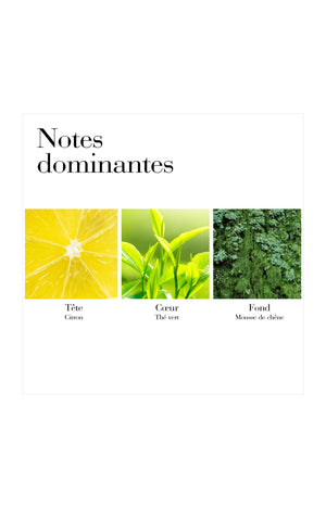 Green Tea Eau de toilette - Frais