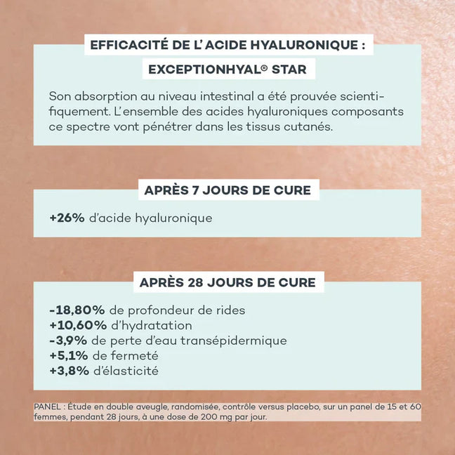 Programme Jeunesse-Absolue
