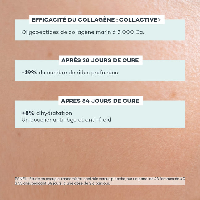 Programme Jeunesse-Absolue