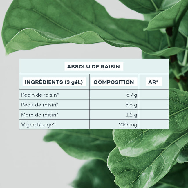 Absolu de Raisin - 7 jours