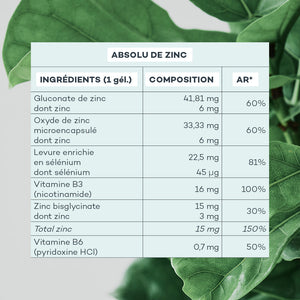 Absolu de Zinc