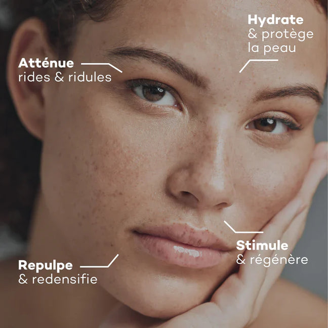 Routine Nutrition Absolue - Collagène & Hyaluronique - ETUI MULTILINGUE