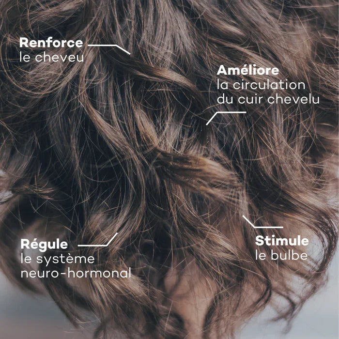 Programme Masse-Capillaire - Anti-chute & Redensifiant - ETUI MULTILINGUE