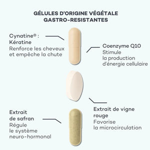 Programme Masse-Capillaire - Anti-chute & Redensifiant - ETUI MULTILINGUE