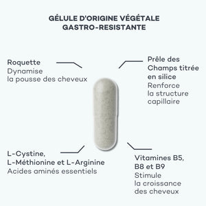 Complexe de Pousse