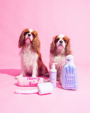 Peluche Lip Gloss x Bandit