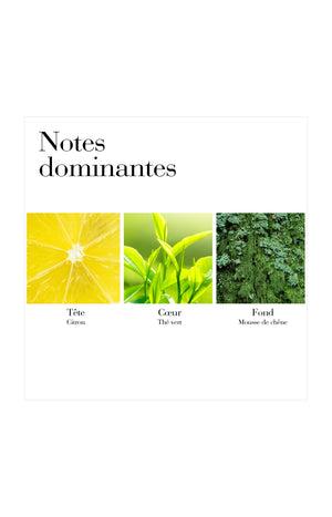 Green Tea Eau parfumée - Hespéridé aromatique