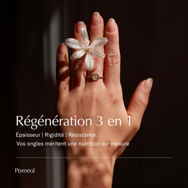 Augmentation de l'épaisseur, de la rigidité et de la résistance des ongles