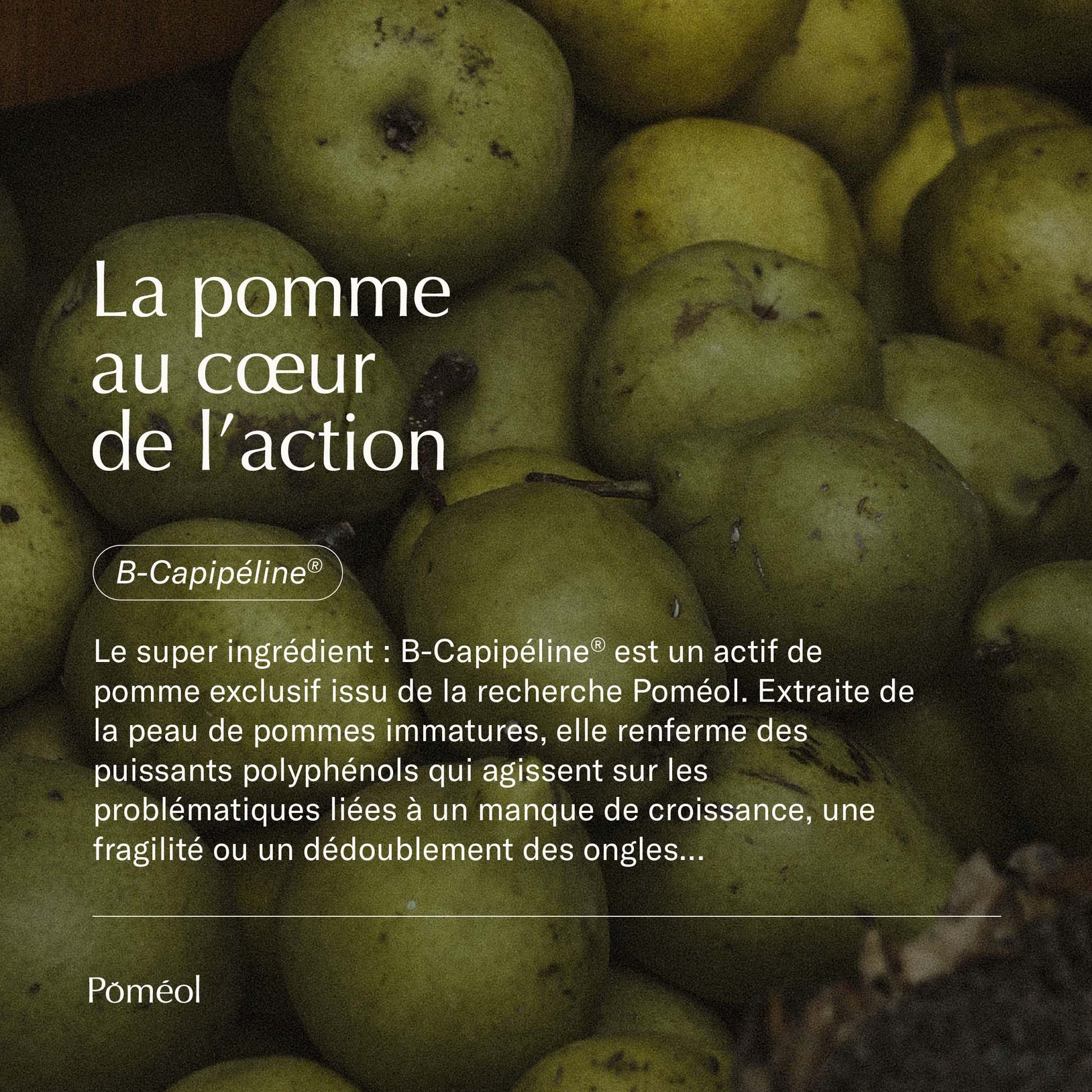 La pomme au cœur