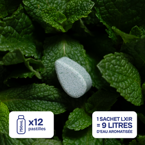 Coffret découverte + Gourde vert