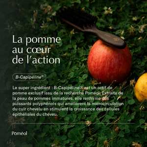 Sérum cheveux pousse et régénérant