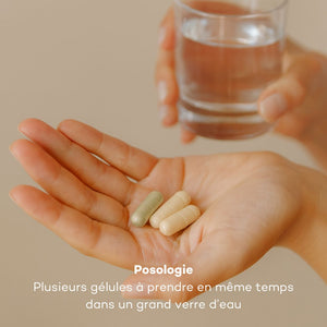 Programme Ventre-Plat
