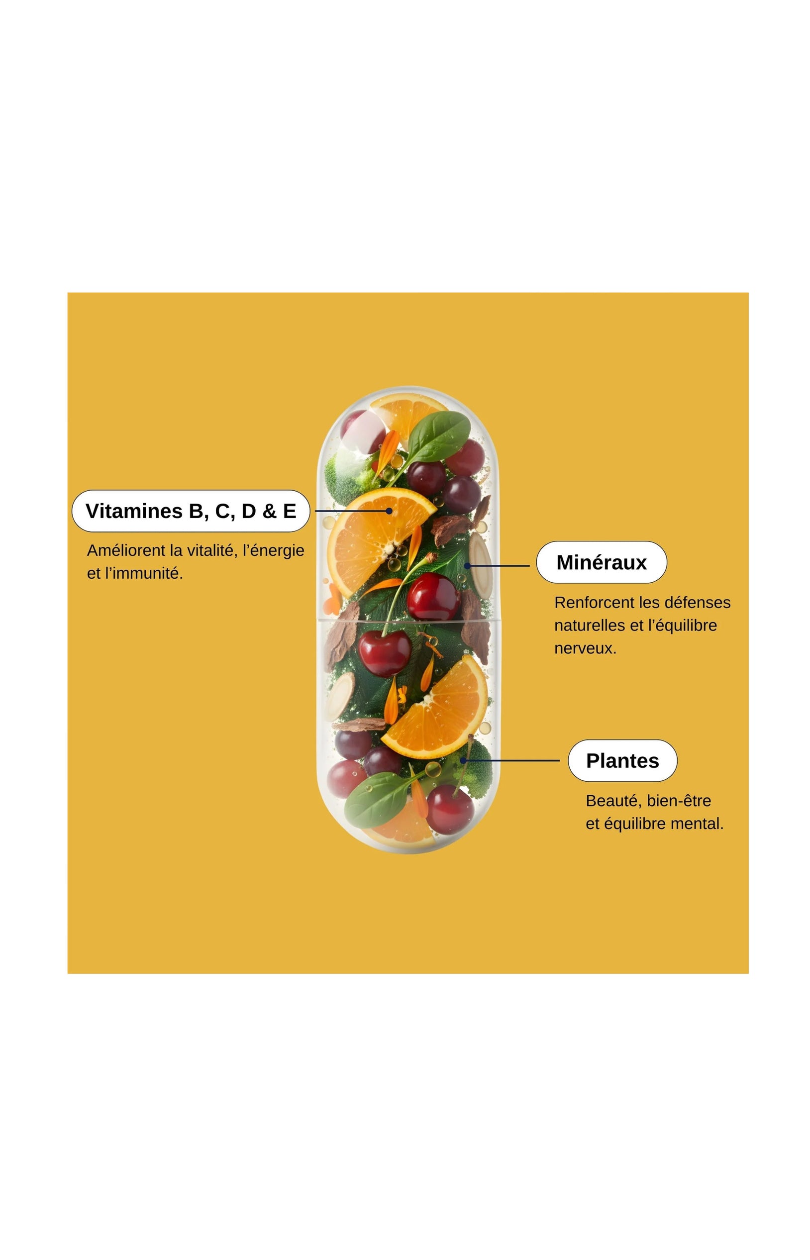 Multivitamines 30 - 1 mois