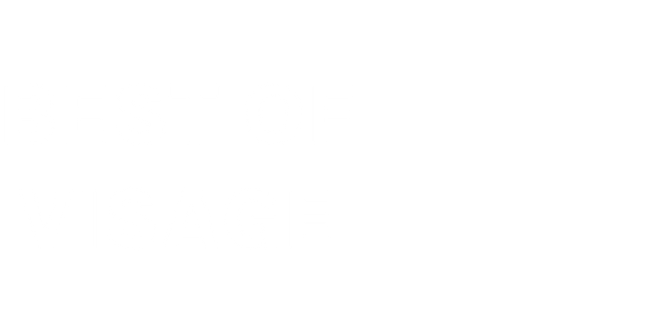 BEST OF VISAGE