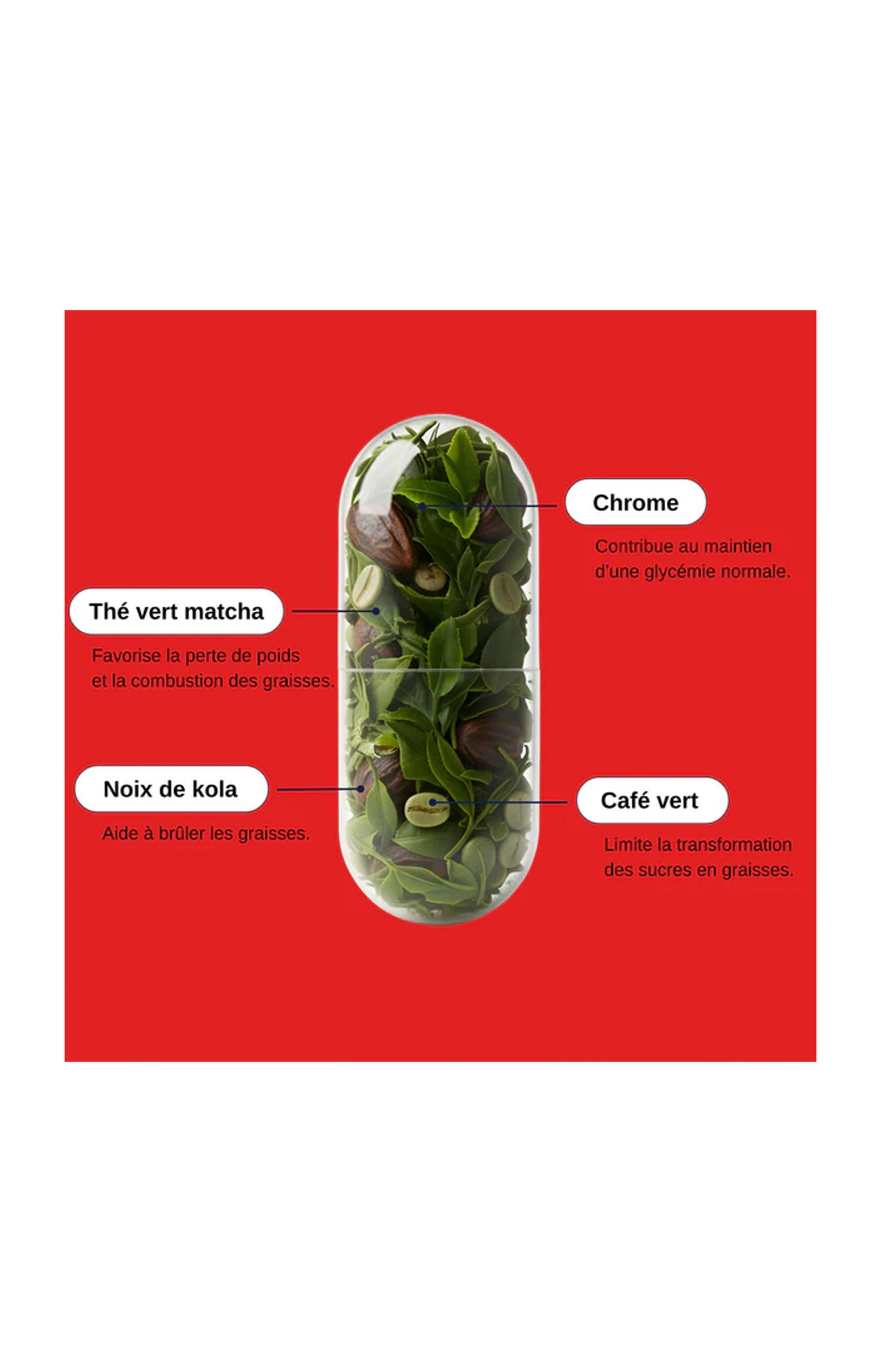 Compléments alimentaires - Brûleur de graisses - 1 mois